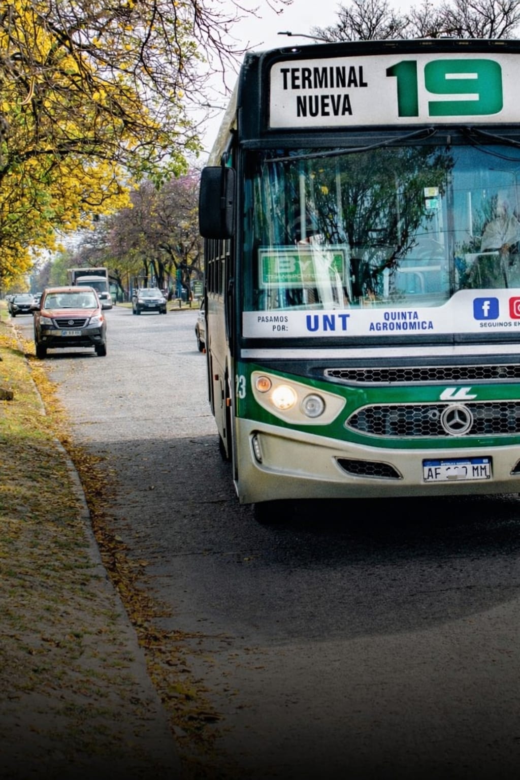 19 BONI