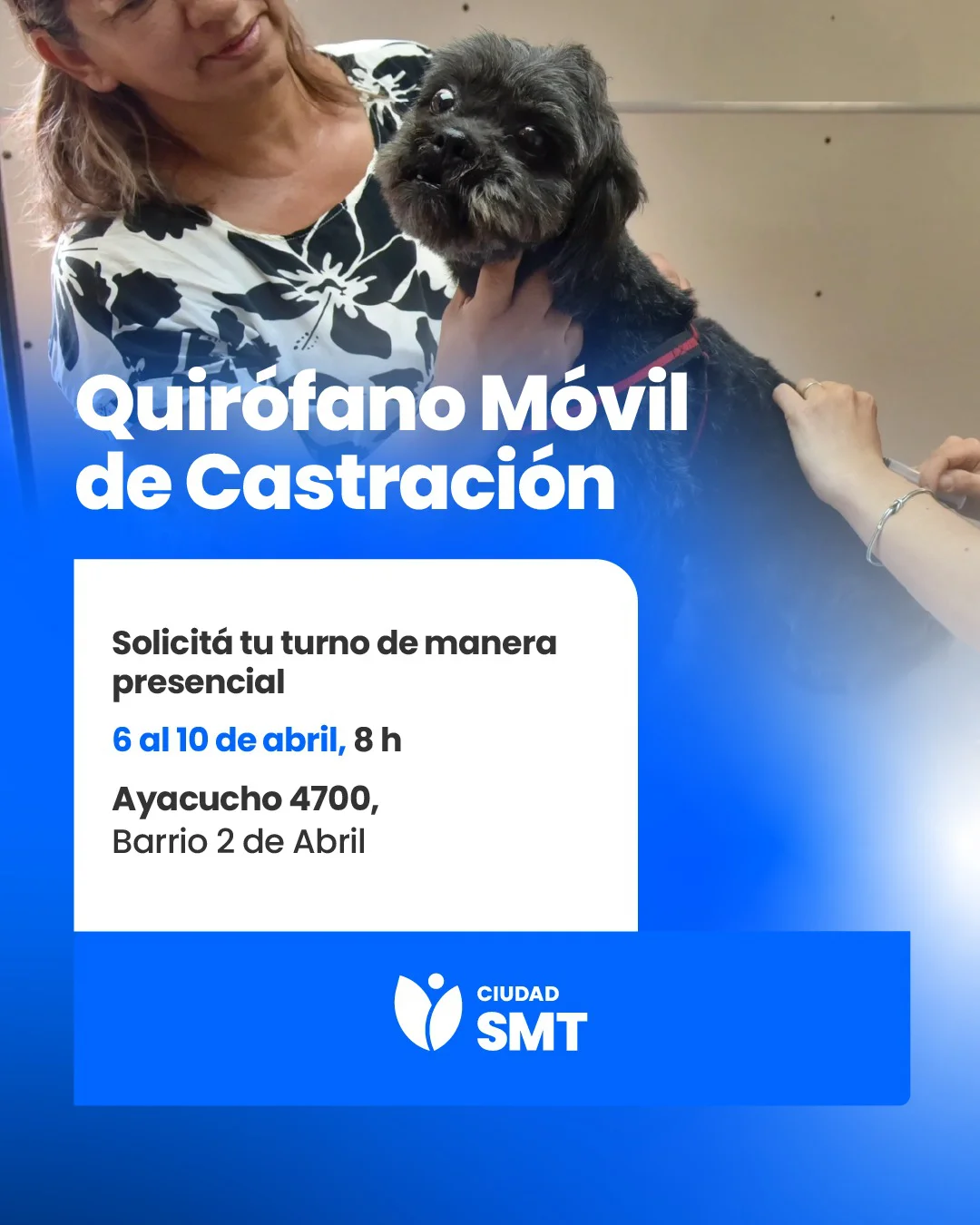 MOVIL