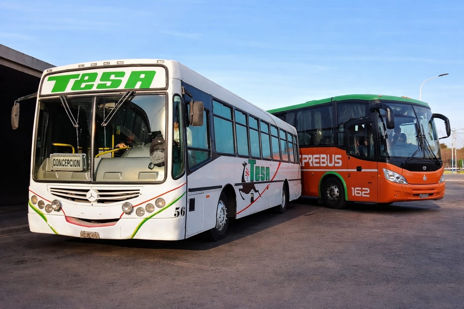 tesa y expre
